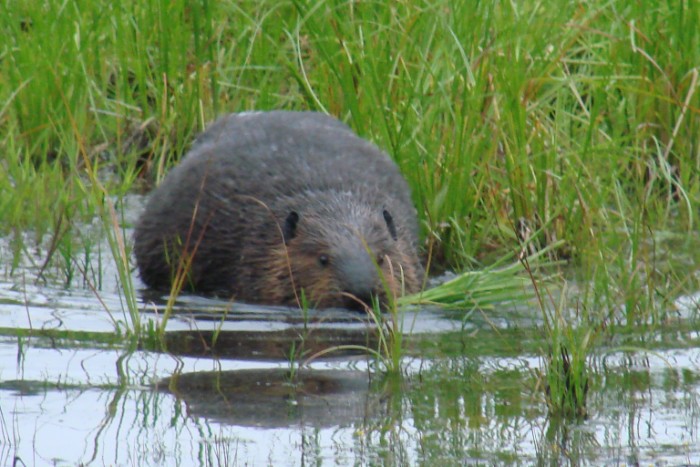 dsc00511_8866470674_o