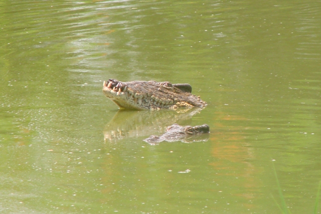 dsc00626_16262717028_o