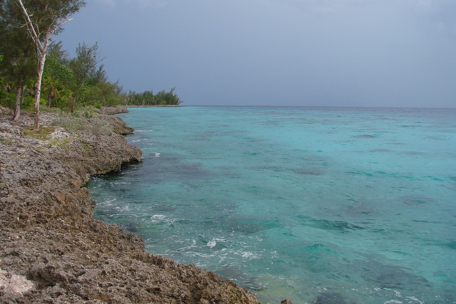 dsc00638_15827867414_o