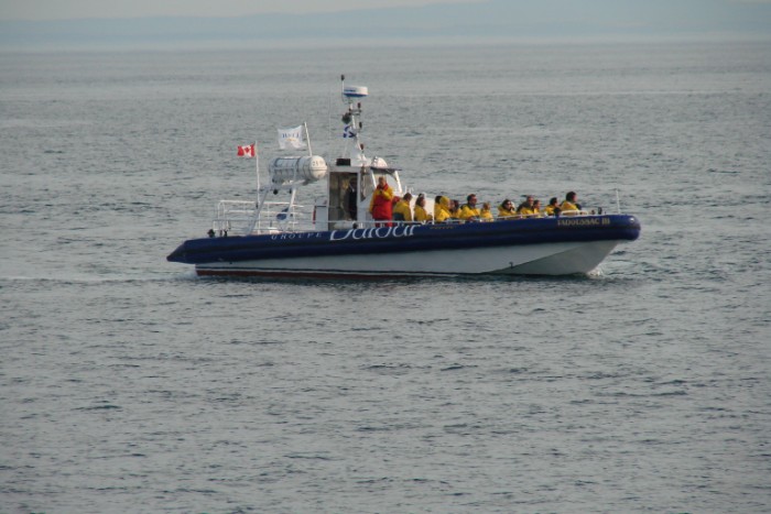 dsc00701_8866387884_o