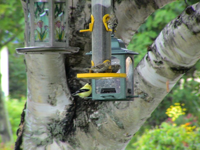 dsc00728p_8865752679_o