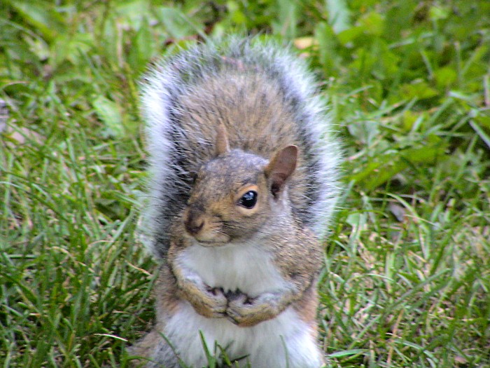 dsc00770bb_8865714167_o