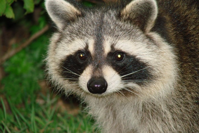 dsc00776_8865708009_o