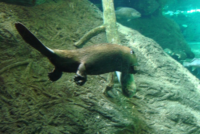 dsc00795_8866302420_o