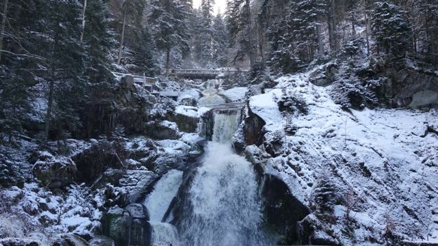 dsc01751_39430353714_o