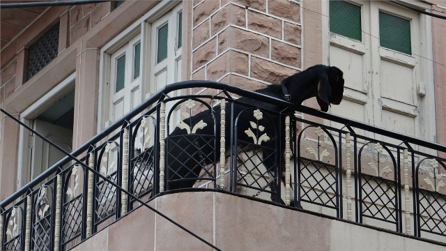 dsc01884_8618496943_o