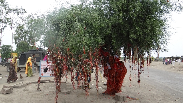 dsc01888_8618496517_o