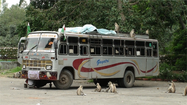 dsc01890a_8619602792_o