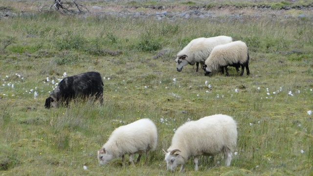 dsc02303_10950347115_o