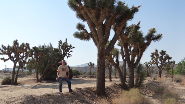 dsc03244_10592047815_o