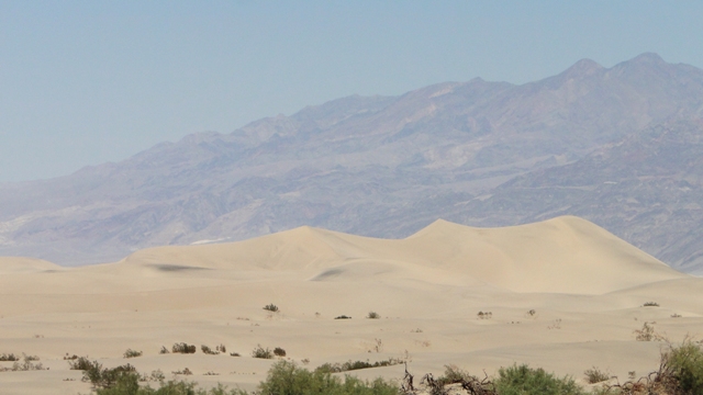 dsc03851daph_10606182585_o