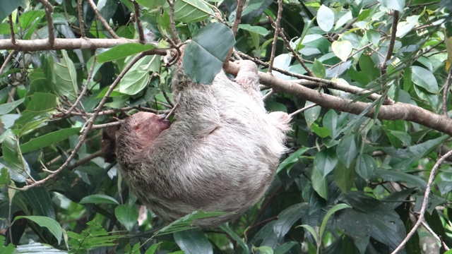 dsc05128_16312293181_o