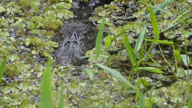 dsc05165da_15691541284_o