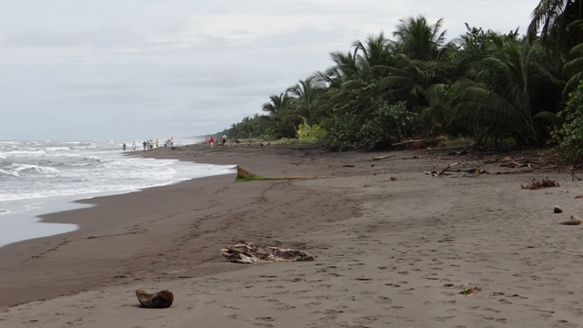 dsc05171_16312151331_o