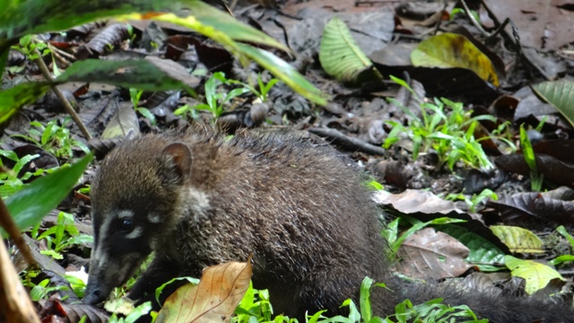 dsc05216_15722195554_o