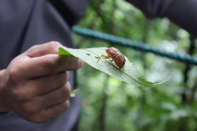 dsc05219ba_16158442239_o