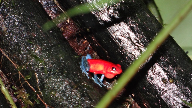 dsc05234_16156999798_o