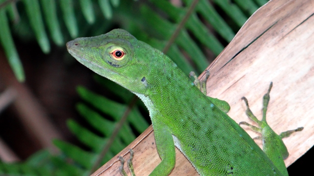 dsc05273abis_16342827921_o