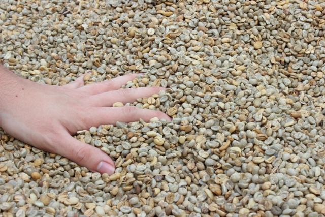 dsc05306dd_16156928108_o