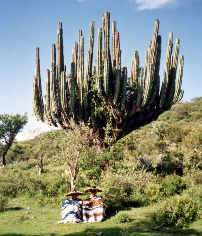 sin-ttulo-40_16310707847_o