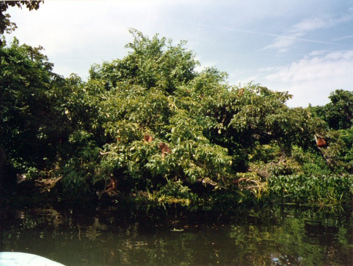 sin-ttulo-9_16493542381_o